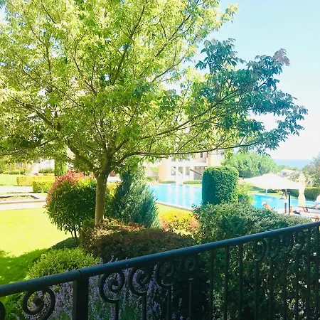 In Complex Atia Черноморец