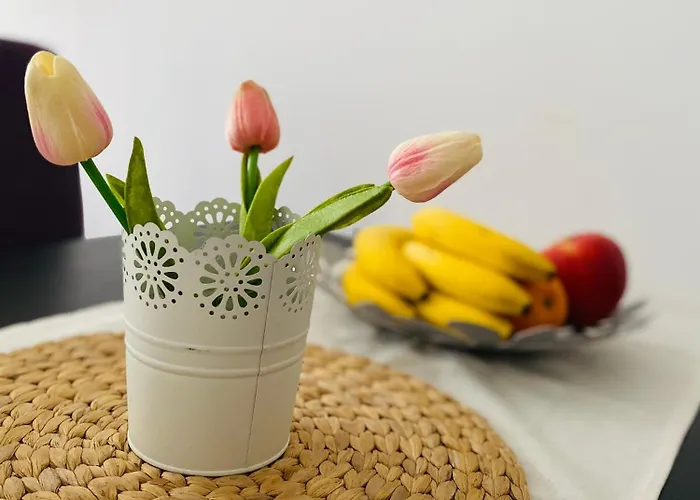 In Complex Atia * Tchernomorets